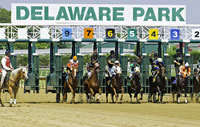 Sports Betting at Delaware Park